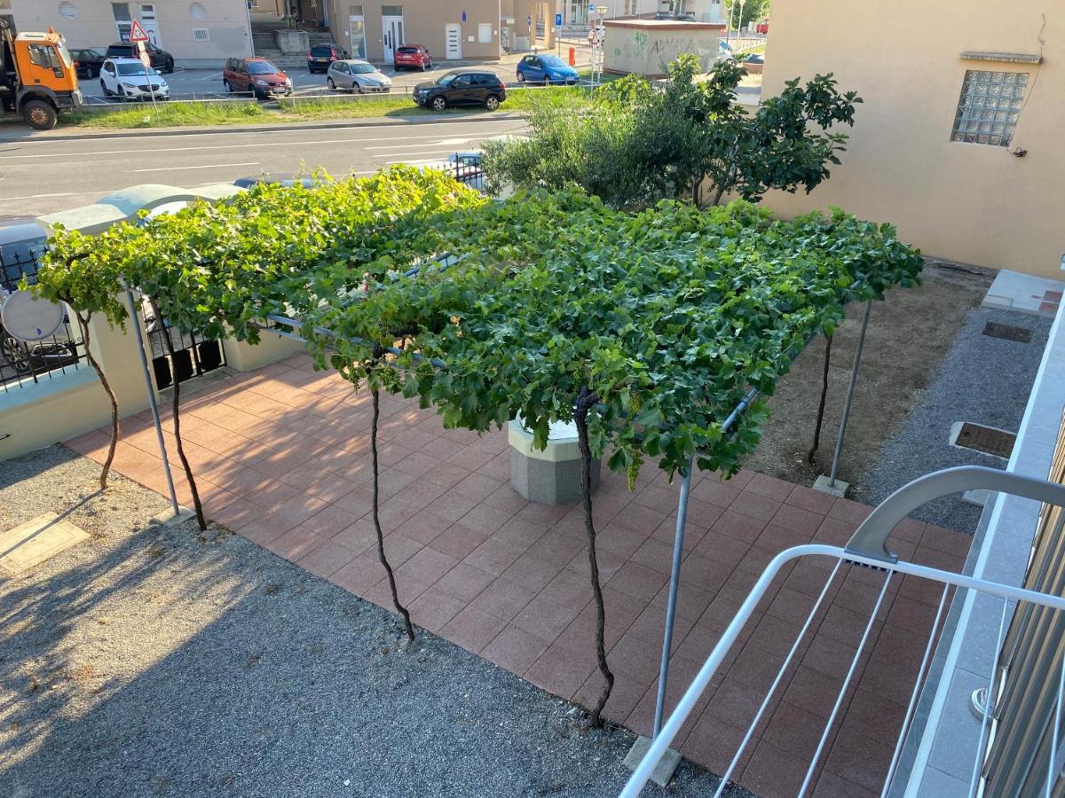 Apartment House Novi Vinodolski